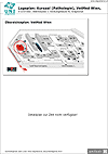 Lageplan zu event hall Kurssaal - University of Veterinary Medicine Vienna - GIF klein 72 DPI